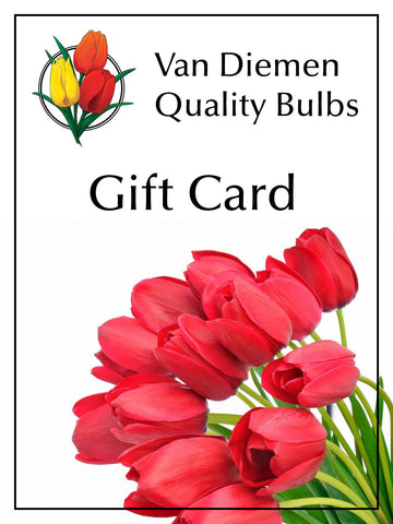 Gift Cards