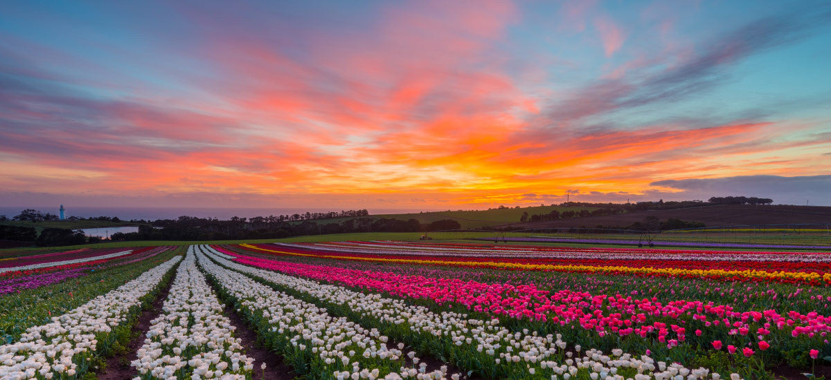 #htmlcaption-2 slide2