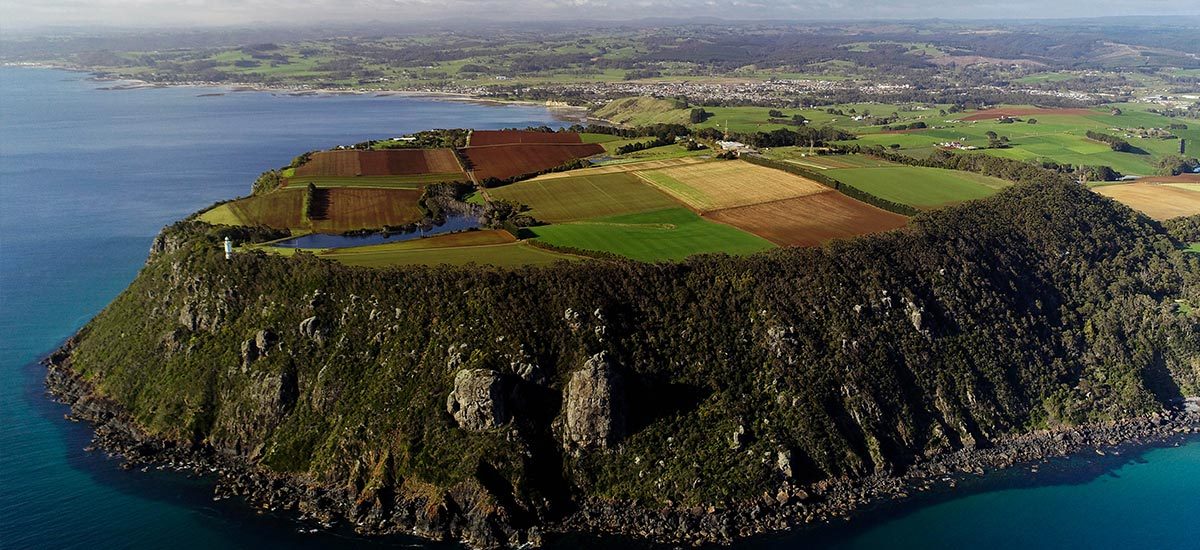 #htmlcaption-4 slide4