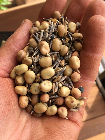 Diverse Mix - Cover Crop Seed