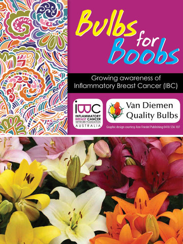 Bulbs for Boobs Pack - Mixed Liliums